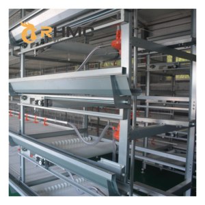 Pabrik RHMC penjualan terlaris lapisan kandang tipe-h baterai peternakan ayam Ayam Broiler sistem baterai kandang ayam untuk Ghana - Product Image 6