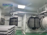 Vacüüm-vriesdroger op maat, lyofilisator, aardbeien-vriesdroogapparatuur voor fruitvriesdroogverwerkingslijn