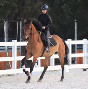 Clôture pour <span class=keywords><strong>chevaux</strong></span> à haute résistance avec tendeurs à ressort pour ranchs à grande échelle et installations d'élevage Clôture pour <span class=keywords><strong>chevaux</strong></span> - Product Image 5