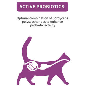 Aliments Biologiques pour Animaux de Compagnie : Remplaceur de Lait Riche en Protéines, Sans Céréales, Sans Sucre, Sans Antibiotiques, pour Chiens et Chats Adultes, Complément Alimentaire Entièrement Gras pour la Santé - Product Image 4