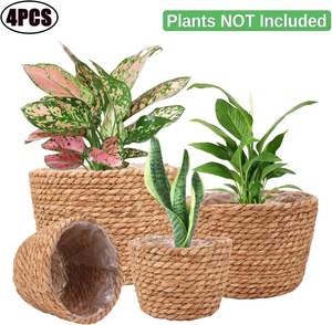 Keranjang Tanaman Rumput Laut Keranjang Tanaman Bergaya untuk Tanaman Dalam dan Luar Ruangan Sempurna untuk Penutup Pot Bunga dan Dekorasi Ruangan - Product Image 4