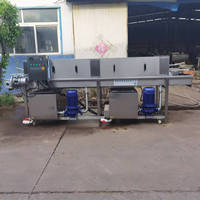 Lavage industriel électrique et à la vapeur plateau palette en plastique légumes viande panier caisse nettoyage Machine laveuse bon prix