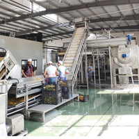 Lazen Hoge Efficiëntie Automatische/Semi-Automatische Volledige Lijn Voor De Productie Van Mangosap