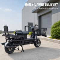 Moto électrique tout-terrain robuste pour adultes, capacité de charge 300 kg, moteur sans balais, autonomie 100-260 km