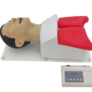 Mannequin de gestion des voies respiratoires avancé pour la formation aux premiers <span class=keywords><strong>secours</strong></span> et la science médicale - Doctor Medicinae - Product Image 1