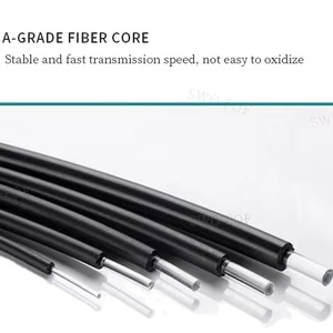Lampe au lithium spéciale de diamètre du câble 0.5 MM de <span class=keywords><strong>fibre</strong></span> optique rentable durable de <span class=keywords><strong>fibre</strong></span> pour la piscine extérieure - Product Image 3