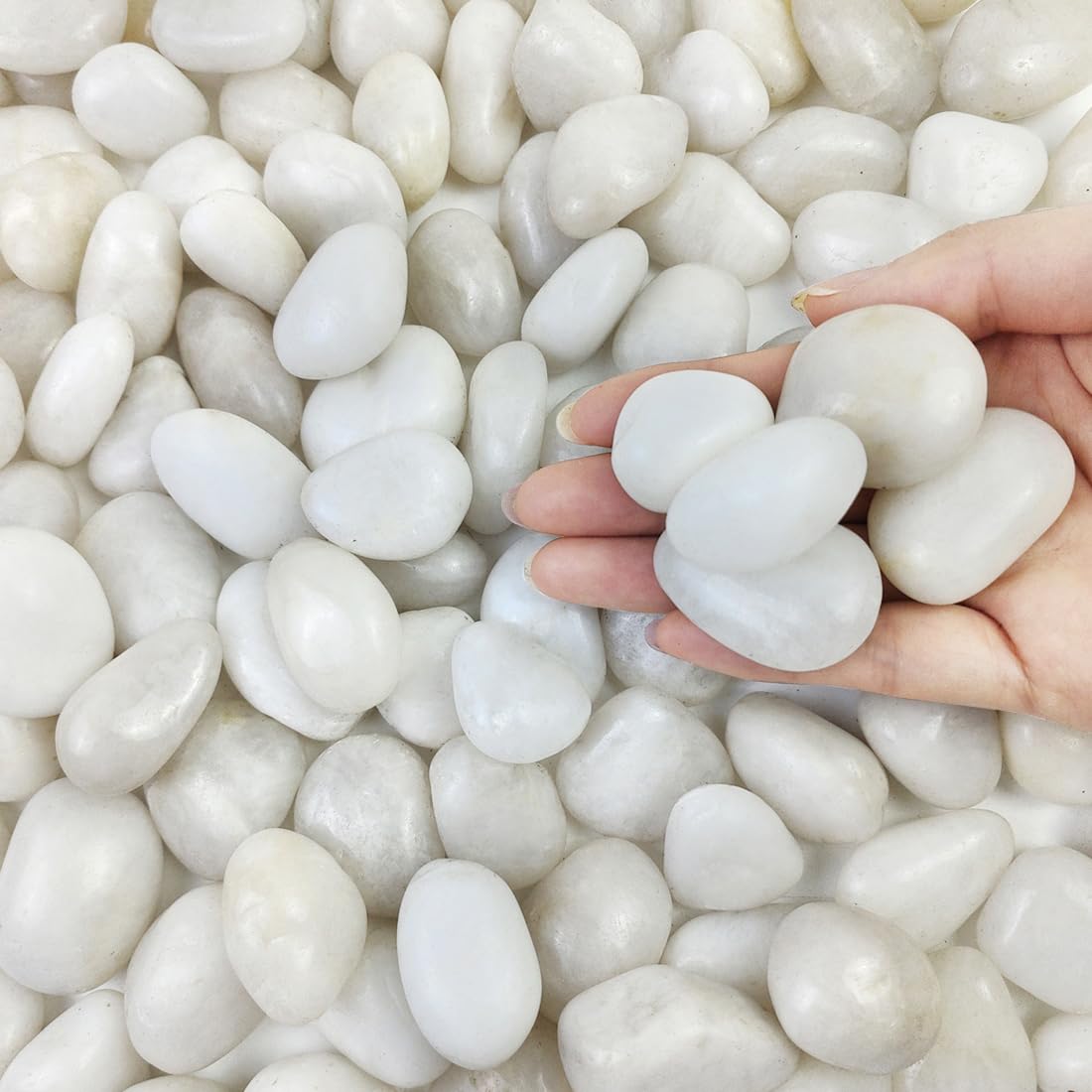 White Pebbles
