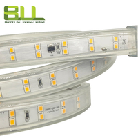 220V 192V personnalisé SMD2835 120leds/m 11W par mètre 2700K Ip65 bande lumineuse led haute tension pour l'extérieur