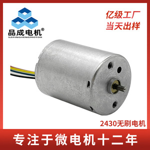 Motor sin Escobillas BL2430 de 24V, Motor Eléctrico de CC en Miniatura para Recortadoras de Cabello, Carcasa de Aleación de Aluminio - Product Image 4