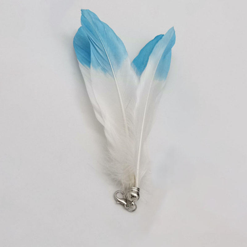 Plume blanche et bleue