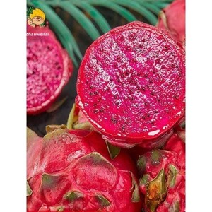 Verse rode-draakvruchten met garantie op schadevervanging, paarse kristalvariëteiten, China, 3/5 Jin, op kamertemperatuur bewaren