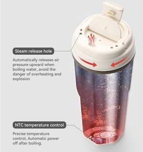 غلاية قهوة كهربائية، غلاية سفر شخصية محمولة للتحكم بدرجة الحرارة، زجاجة غلي الماء الكهربائية كهدية - Product Image 3