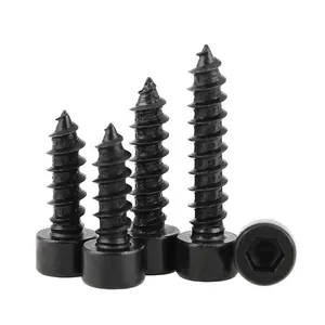 Parafusos de cabeça de queijo hexagonal de aço inoxidável SS304 SS316 preto zinco níquel, material de alta qualidade, vários materiais, auto-roscantes