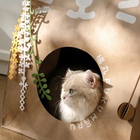 Sacs en papier kraft pour nid de chat, résistant à l'usure, sans miettes