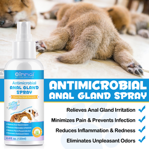 Oimmal يزيل تهيج الغدة الشرجية بسعر الجملة-الروائح الصعبة-يخفف تهيج الغدة الشرجية للكلاب - Product Image 6