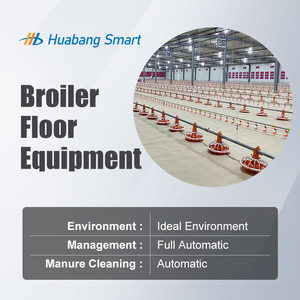 <strong>Automatic</strong> Poultry Equipment Chicken Feeders and Drinkers <strong>System</strong> for Poultry Farm - Product Image 4