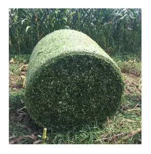 Rete per Pallet insilato per erba agricoltura involucro per balle biodegradabile rete per balle di fieno involucro netto