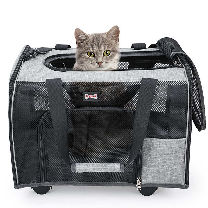 Modern Luxury Airline Approved Cat Dog