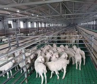 Almacén de Estructura de Acero Ligero de Bajo Costo con Acero Tipo C - Marca Hongtian