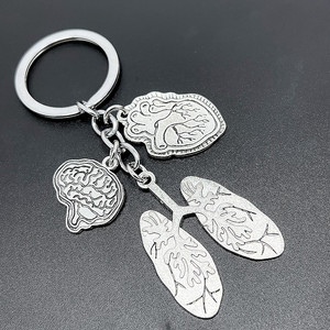 Llavero médico creativo de órgano humano personalidad divertida Corazón de Metal cerebro pulmón para enfermera Doctor llavero - Product Image 5