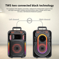 Altavoz Portátil Inalámbrico ABS-10101 de 10 Pulgadas con Bocina, Batería de 2400 mAh, Compatible con BT/TF/USB/AUX/FM/MIC/TWS/RGB