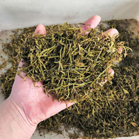 Rebanadora de hierbas Hoja de tabaco seco Trituradora de cáñamo Máquina de corte y molienda de hojas Máquina cortadora de raíz de regaliz