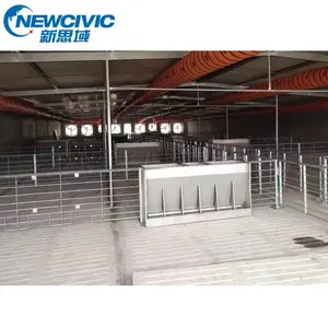 Thiết Bị Piggery Sow Bed Sow Fatten Stall Weaning Gestation Lồng Lồng Với Bảng PVC