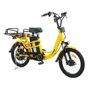 Индивидуальные 2-колесный скутер электрический велосипед два колеса Электрический грузовой велосипед