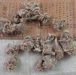 Qin cai Gen bán buôn tự nhiên cần tây Radix toàn bộ khô nguyên khô cần tây gốc cho thảo mộc - Product Image 4