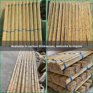 <span class=keywords><strong>Poste</strong></span> de Bambú Anticorrosión para Cercas, Asta de Bandera, Techo, División de Espacios - Uso Interior/Exterior, Varias Opciones de Grosor y Longitud - Product Image 2