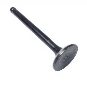 Pièces de moteur de moto vtt Offre Spéciale soupape d'admission anti-corrosion - Product Image 1