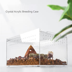 Istiflenebilir kristal akrilik Modern katı plastik tepsi sürüngen örümcek böcek kertenkele kurbağa bukalemun için evcil hayvan kafesi teraryum - Product Image 4