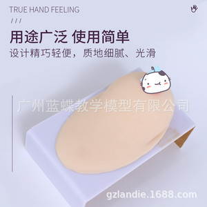 Sein artificiel en silicone souple de grande taille pour la formation des conseillères en lactation, les écoles professionnelles de services domestiques, les hôpitaux - Product Image 5