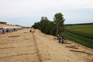 Couverture thermique écologique Plante verte Coco Soie Herbe Géotextile Fibre végétale et couverture de sol de <span class=keywords><strong>chanvre</strong></span> - Product Image 4