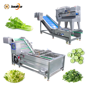 <span class=keywords><strong>Machine</strong></span> compacte de découpe et de lavage de légumes pour laitue, chou, oignon, courgette (hachage, émincissement, dés) avec fonction de nettoyage - Product Image 1
