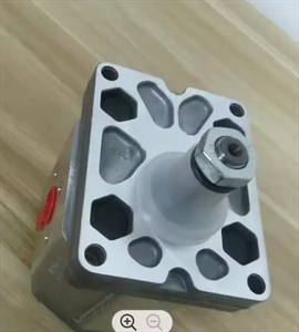 Bomba de aceite de grúa grande CBK1008/1010/1016-A1FR Bomba de aceite de esquiladora CBK1012/16-B4FR Bomba de engranajes hidráulica de dos piezas - Product Image 3