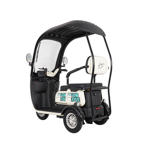 Hete Aanbieding Driewieler Elektrische <span class=keywords><strong>3</strong></span>-Wieler Elektrische Driewieler Motorfiets en <span class=keywords><strong>3</strong></span>-Wieler Elektrische Fiets Met Dak Elektrische Driewieler Te Koop - Product Image 4