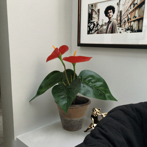 ของตกแต่งภายในบ้าน <span class=keywords><strong>ต้น</strong></span>ไม้ประดิษฐ์ หวายเทียม เถาองุ่นปลอม พลาสติกอะคริลิค ที่จับโทรศัพท์ ของขวัญวันเกิด - Product Image 1