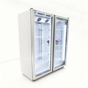 Fiori freschi conservazione fiori commerciali refrigeratore Display frigorifero con raffreddamento ad aria senza gelo e ripiani regolabili - Product Image 6