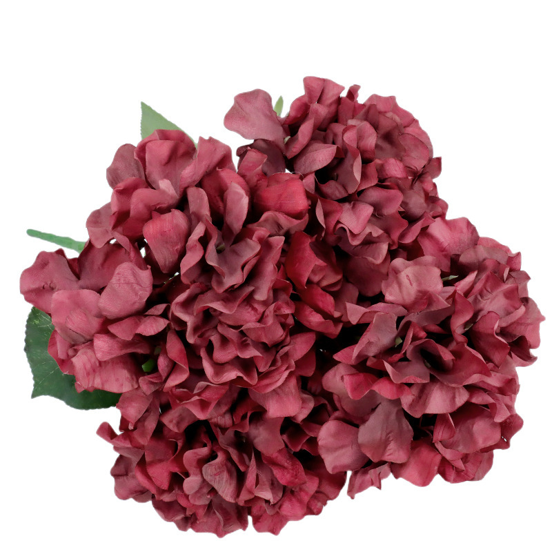 Hydrangée rouge, peinture à l'huile, 5 branches