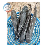 Poisson IQF, Poisson-chat Clarius africain entier, Vente en gros, Poisson-chat d'eau douce frais vivant