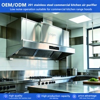 Hotte de cuisine commerciale haute performance en acier inoxydable avec filtre anti-odeurs de fumée, efficacité de purification de 98 % pour hôtels