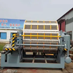 Nhà Máy Thương Mại Cung Cấp 4000 Pcs Mỗi Giờ Giấy Bột Giấy Khay Khuôn Máy