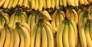 Prix Raisonnables Bananes de Qualité Fraîche, Grade Naturel, Variété Supérieure, Fruits de Banane à Vendre par les Exportateurs - Product Image 6