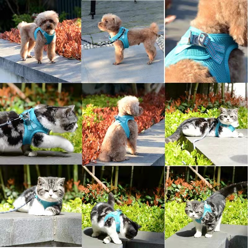Breathable Reflective Pet Dog Cat Harness And Leash Set For Small Medium Large cat