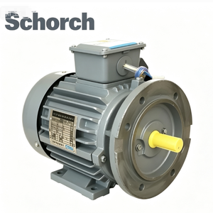 Motor de Inducción Schorch VEM ATB BALDOR HOYER BROOK de 22 kW 30 HP, Hierro Fundido IC411, Refrigeración, 50/60 Hz - Product Image 1