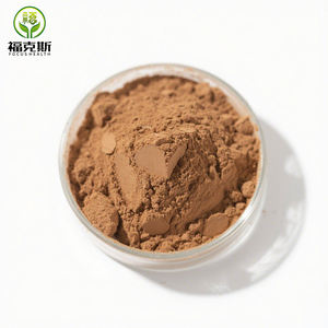 Foco Fornecimento Pó Instantâneo Vegan Kombucha De Alta Qualidade Kombucha Chá Em Pó - Product Image 2