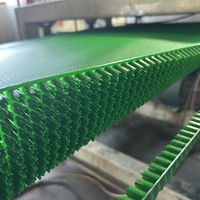 Línea de Producción de Extrusión de Alfombras de Césped PE de Alta Velocidad con Caja de Engranajes PLC de un Solo Tornillo para Uso en Jardines Domésticos, Granjas y Equipos de Cría