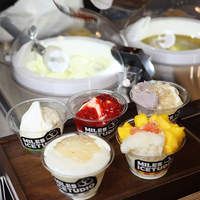 Machine à glace commerciale Miles Galaxy, modèle sur pied, certifiée NSF CE, multifonctionnelle pour fruits, gelato et poudre de crème glacée – Vente chaude