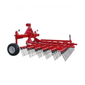 Spring Tines Harrow for Mechanical Weeding of Lawns aeration